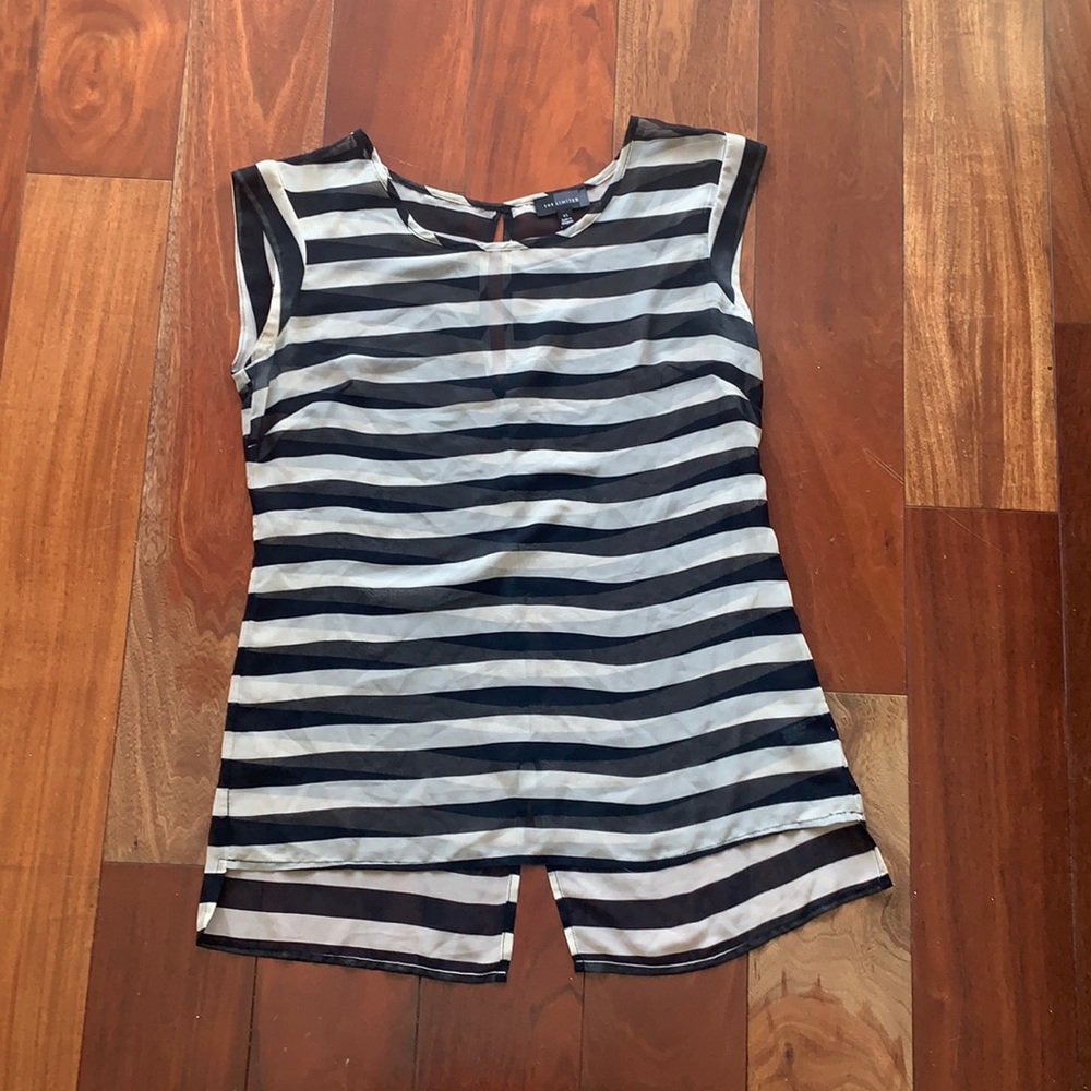 The Limited sheet blouse